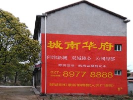 遂宁百分之90的人都不了解的农村墙体广告