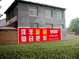 遂宁如何让墙体广告展现最大化效果